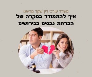 הברחת נכסים בגירושים - מה עושים ואיך מתמודדים עם הבן או הבז זוג מבריחים את הרכוש כדי שלא יכלל באיזון המשאבים ובמזונות